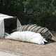 Illustration for article titled Build a Post-Apocalyptic Shelter Out of Cloth: Just Add Water